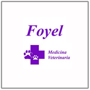 Foyel - Tienda de Mascotas